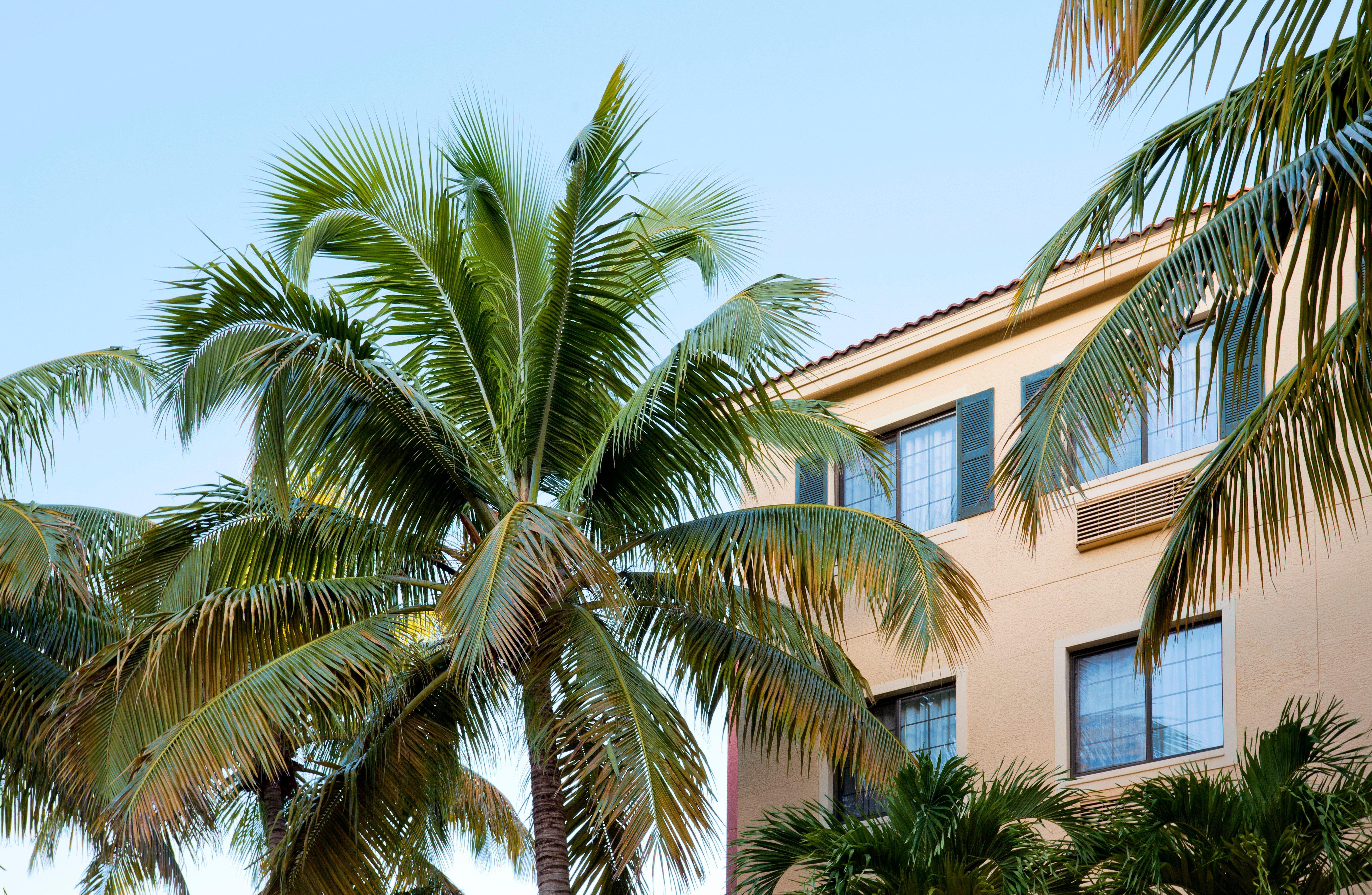 Staybridge Suites Naples - Gulf Coast, An Ihg Hotel Экстерьер фото